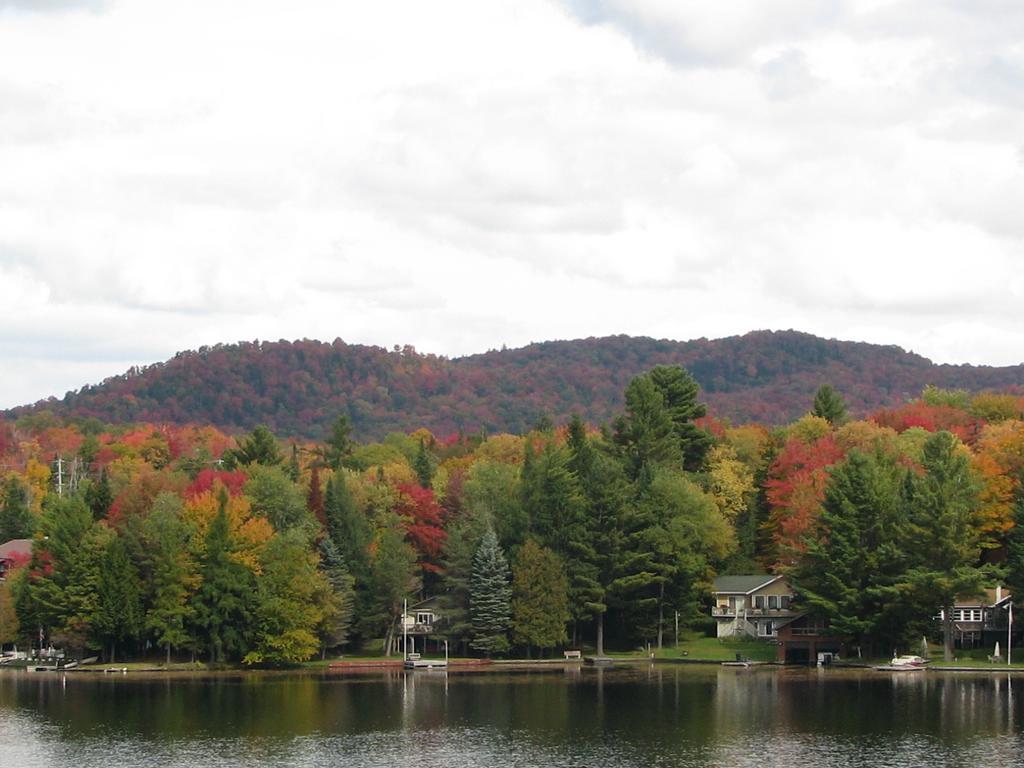 Pine Knoll Hotel Lakeside Lodge & Cabin Олд Фордж Стая снимка